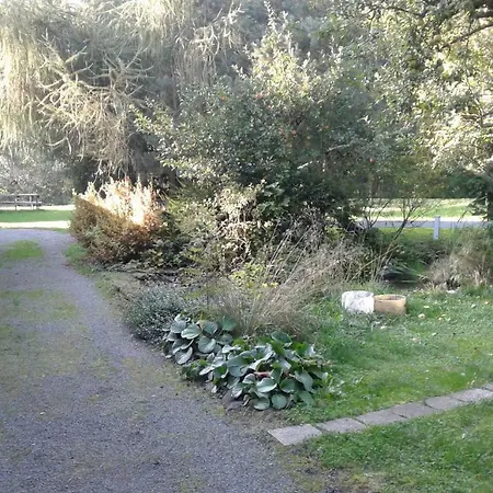 Camp Celt Club , 54983 Campsite *